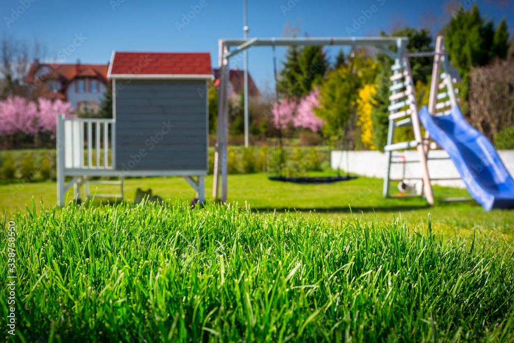 Lush grass in the garden at the house