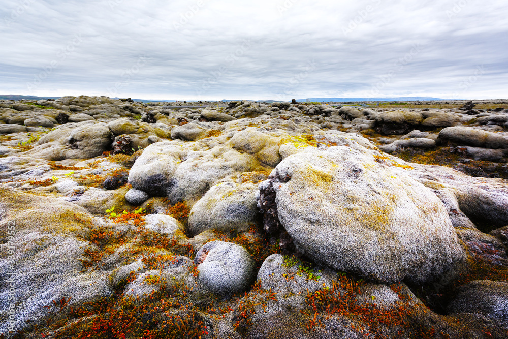 Gorgeous Iceland landscape with lava field covered with brown moss Eldhraun from volcano eruption an