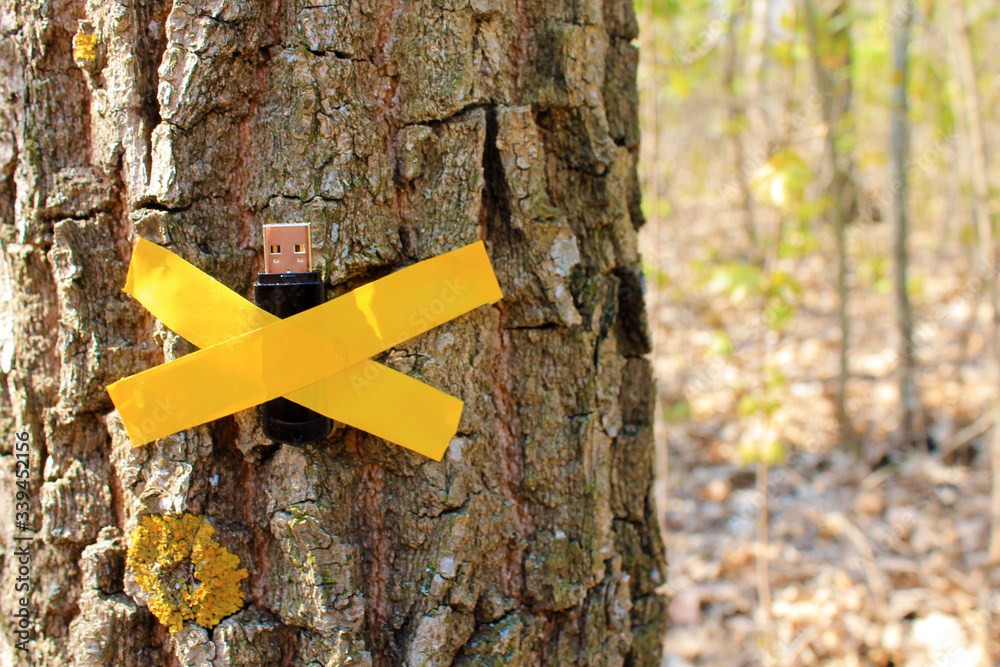 usb stick on the tree