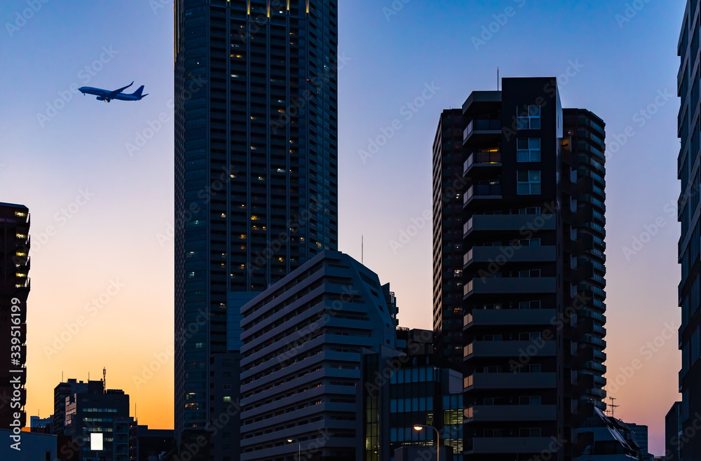 東京の夕暮れの空と飛行機