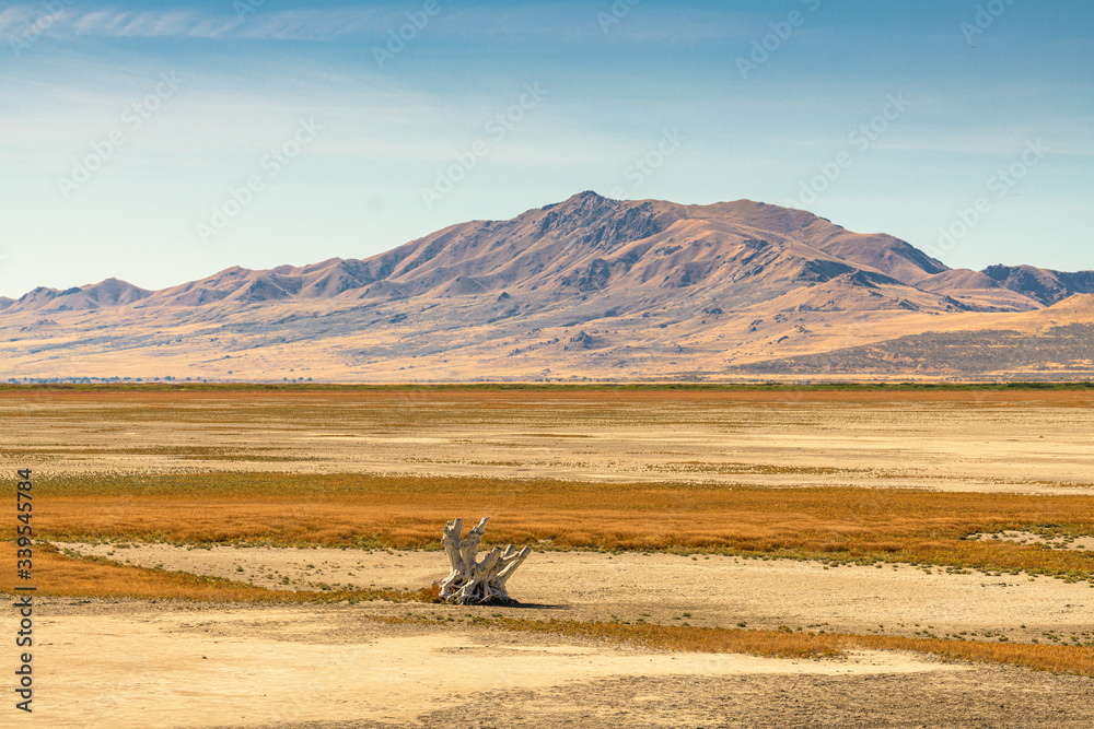 Salt Lake City, Utah, USA baren landscape at the Great Salt Lake.