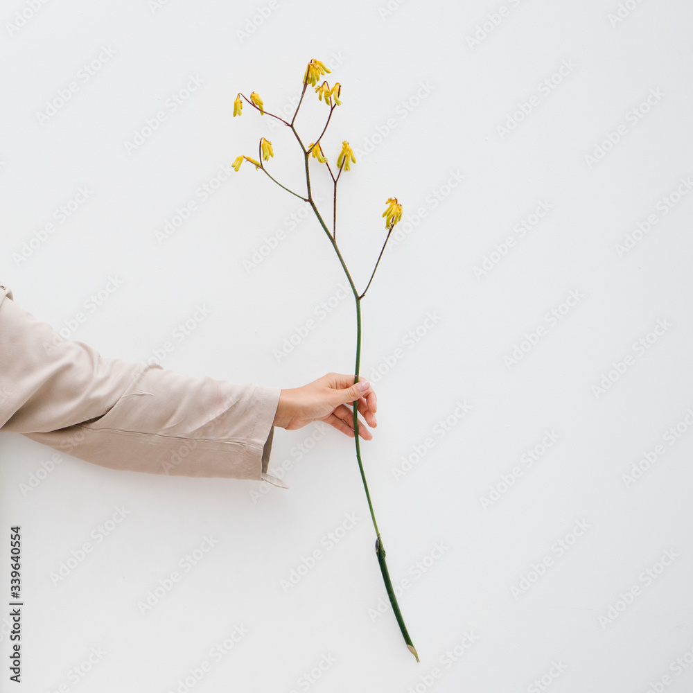 Woman holding a flower