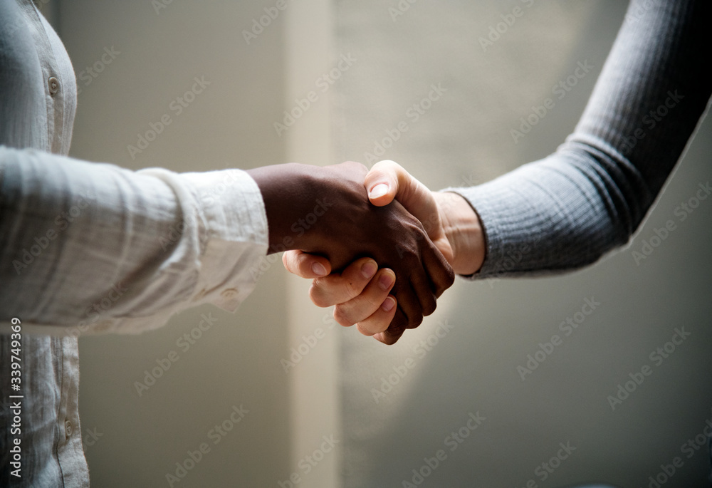 Two business people shaking hands