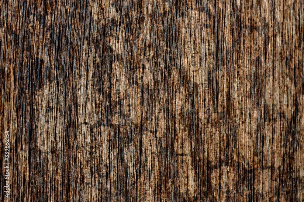 Wood background