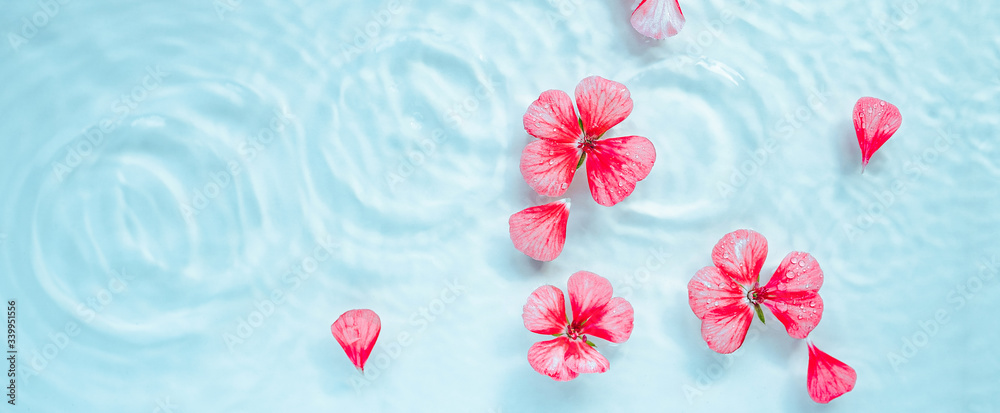 pink flowers float on the water with highlights. care concept