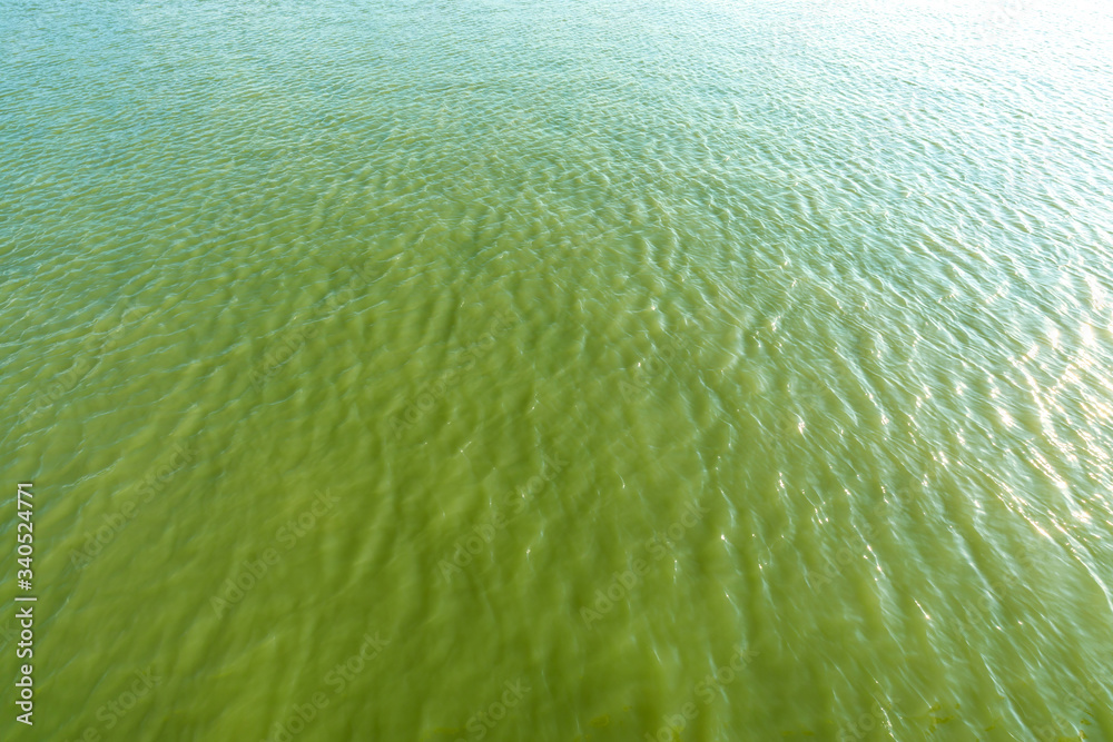 绿色湖水涟漪近景