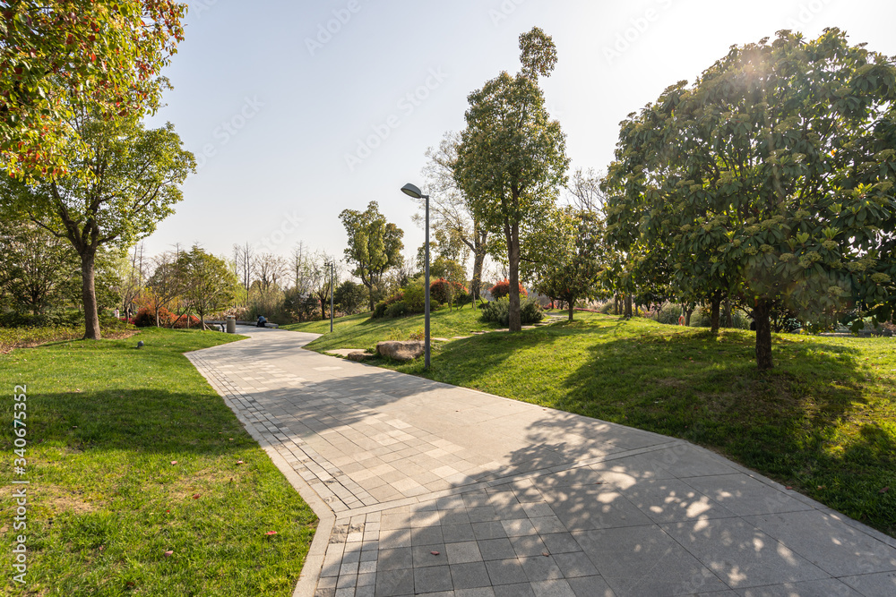 road in park