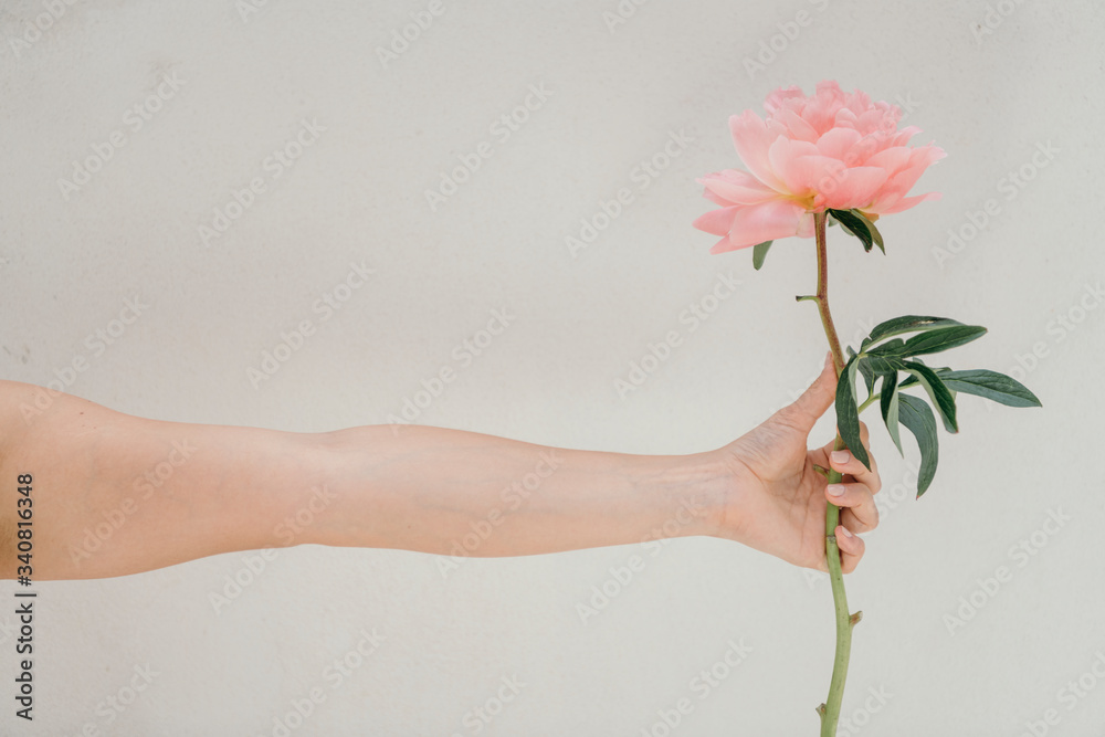 Hand holding flower