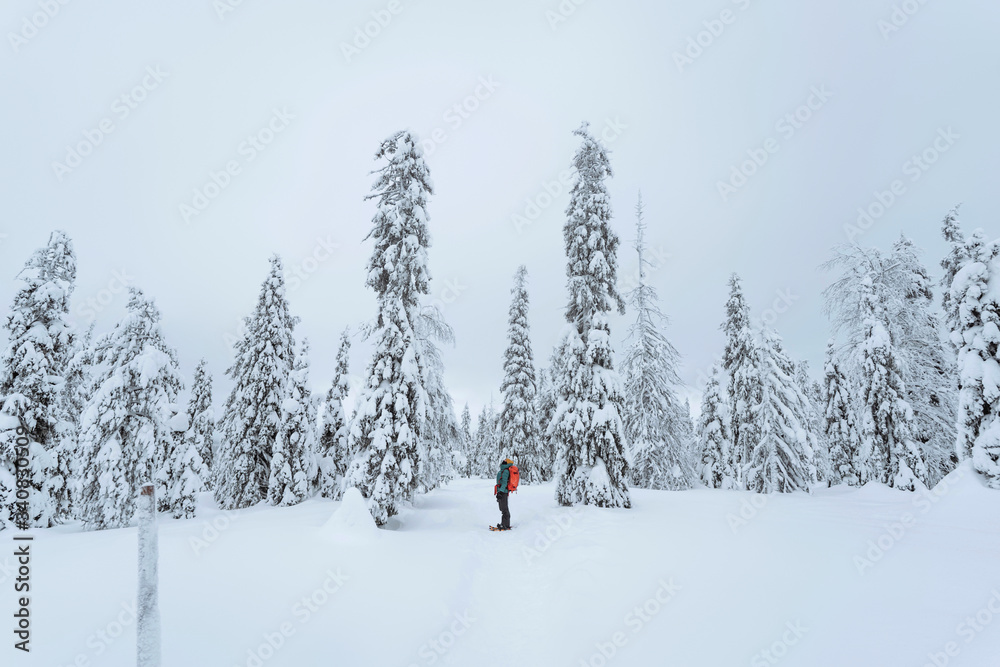 芬兰拉普兰，一名女子在雪地里跋涉