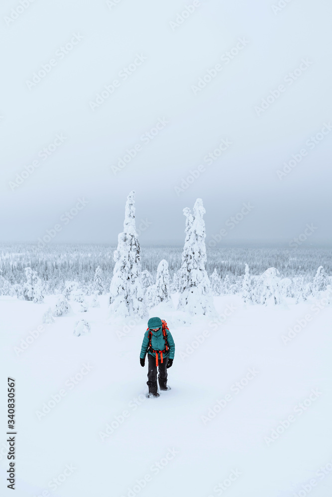 登山者在芬兰拉普兰的雪地里徒步旅行