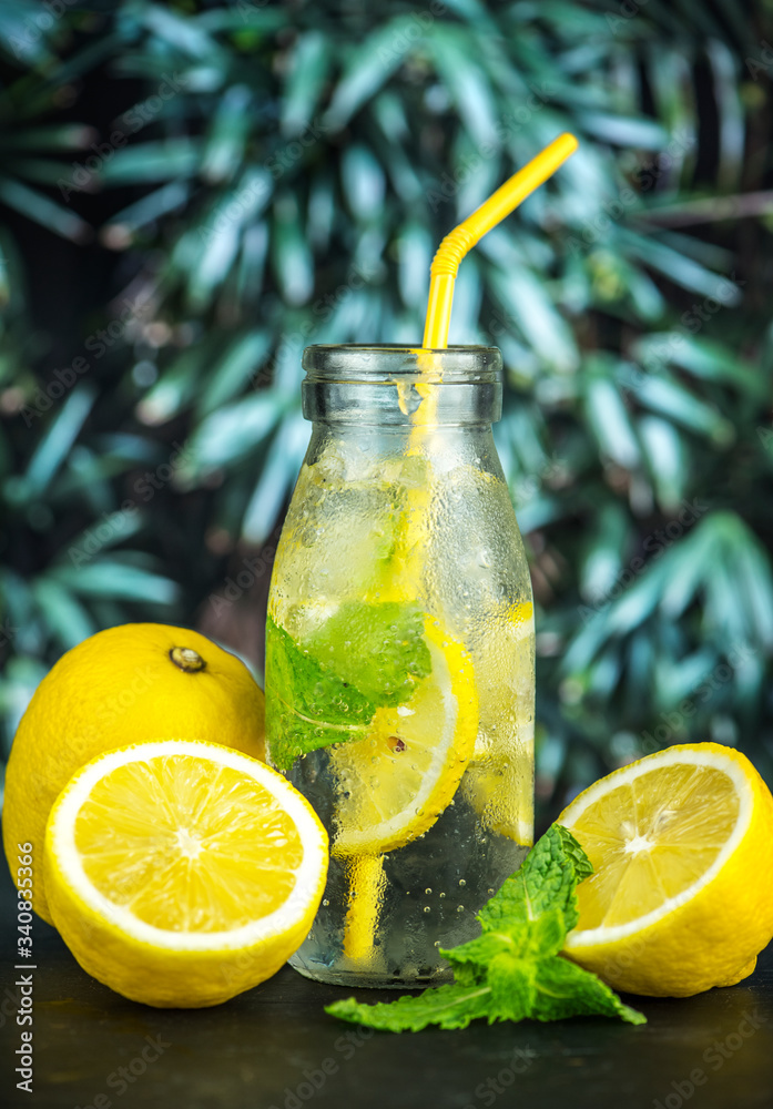 Lemon mint infused water recipe