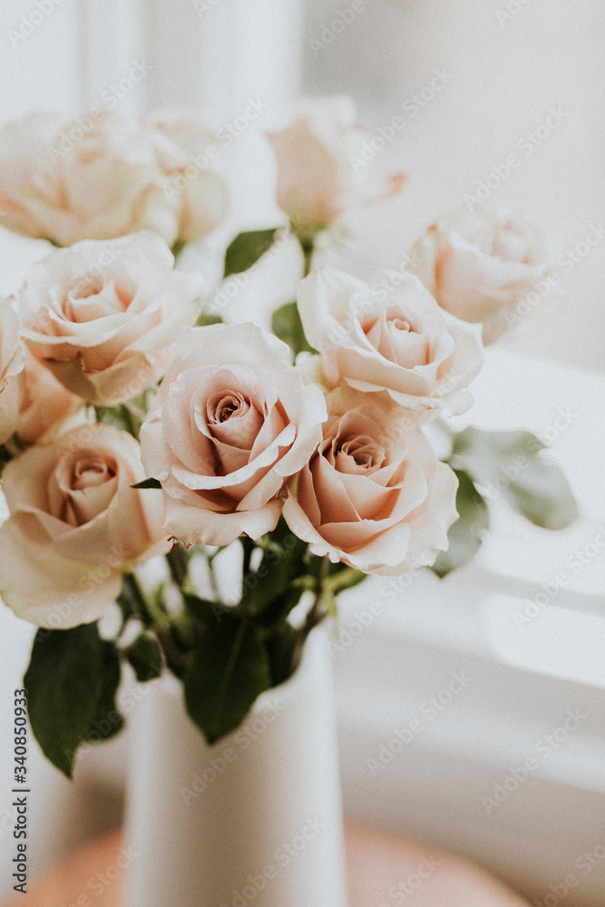 Beautiful pink roses