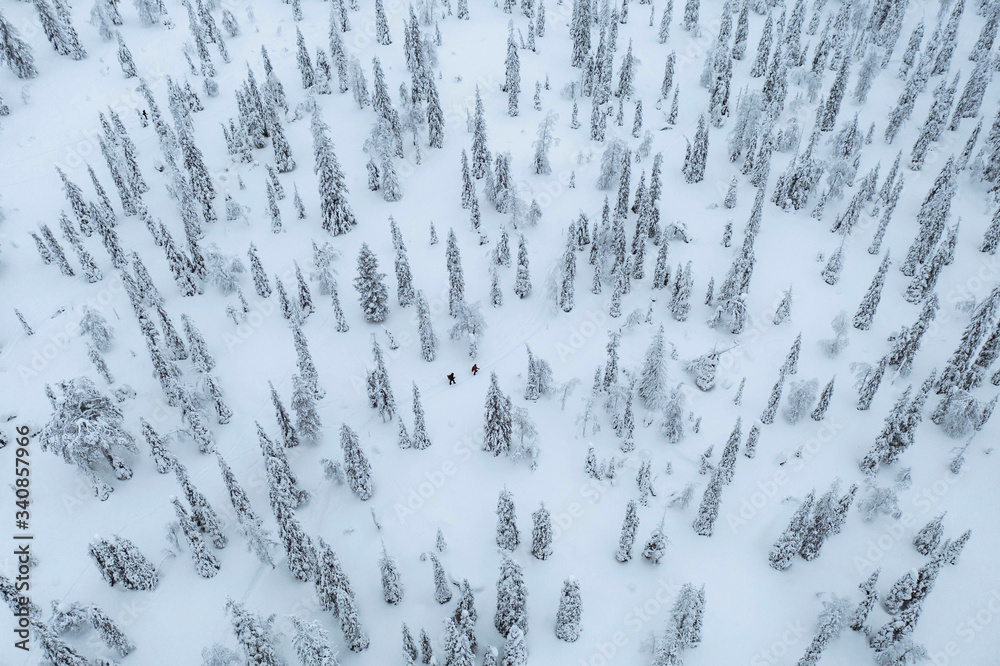 Drone shot of people trekking in a snowy forest in Lapland, Finland