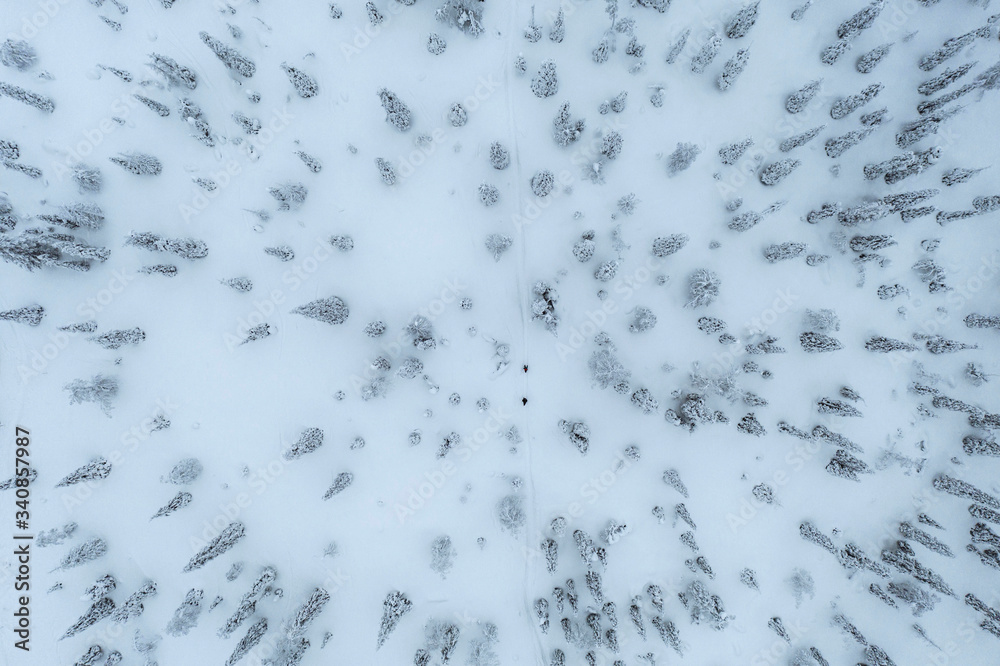 芬兰拉普兰，人们在雪地森林中徒步旅行的无人机镜头