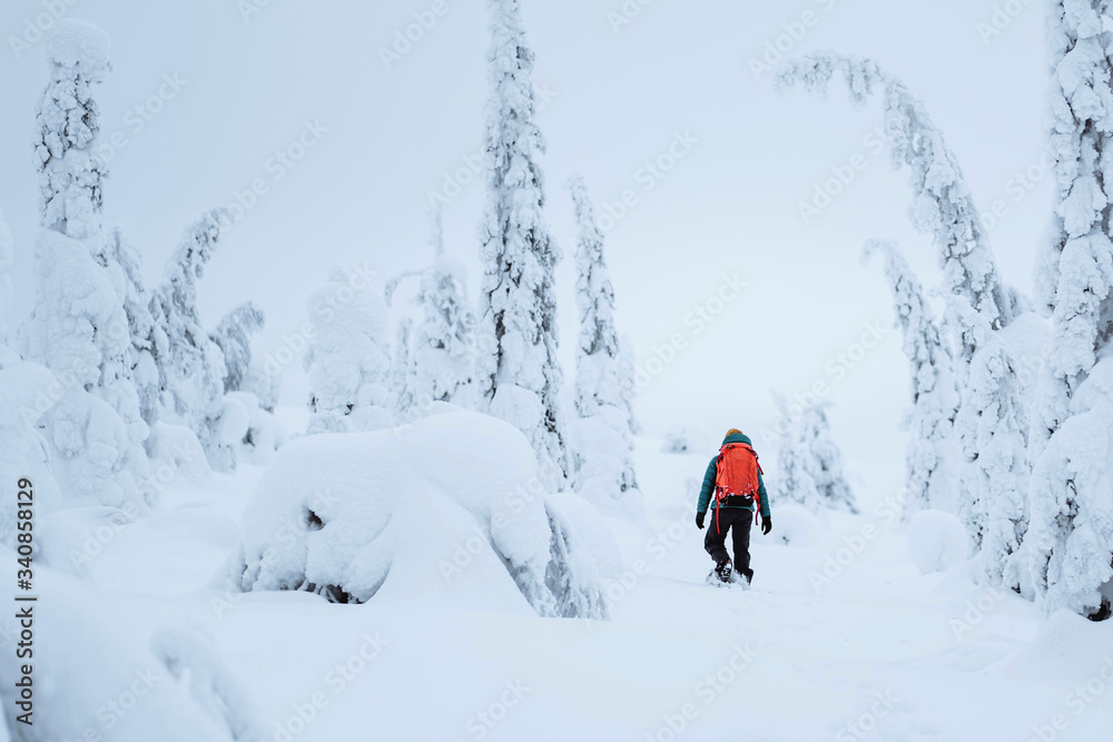 登山者在芬兰拉普兰的雪地里徒步旅行