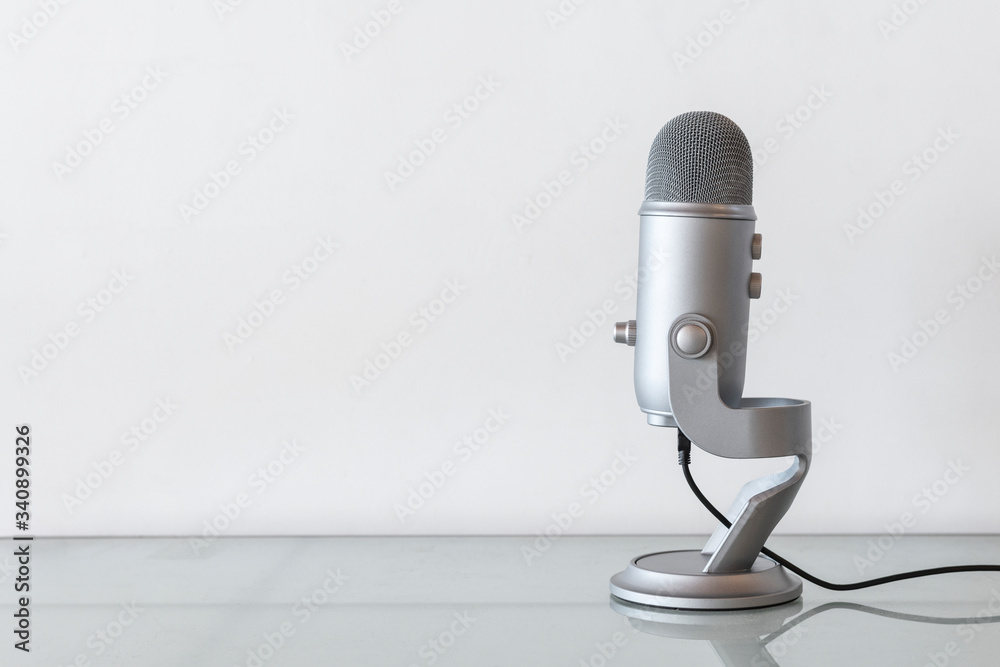 Stainless steel studio microphone