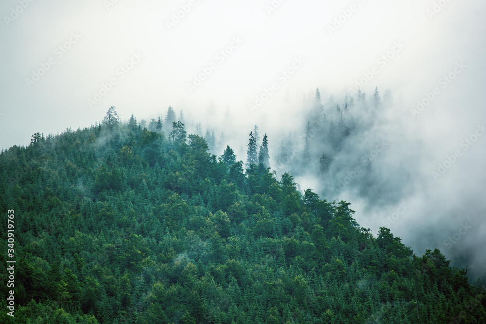 Misty mountain landscape