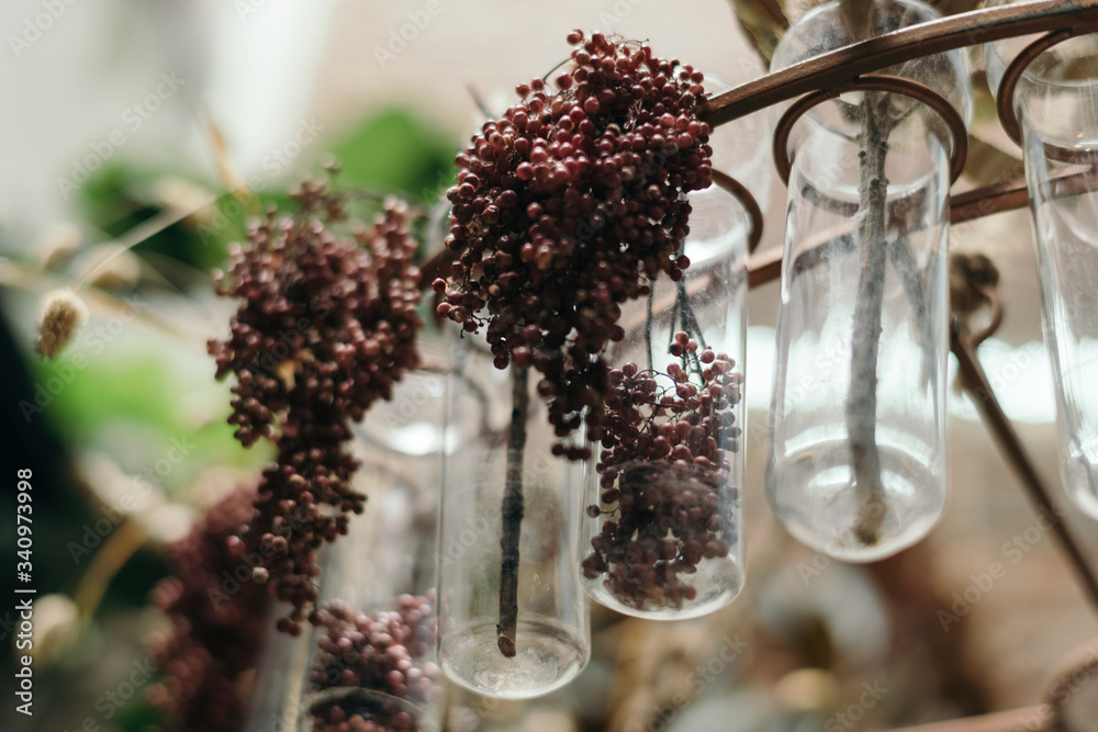 Dry red berries