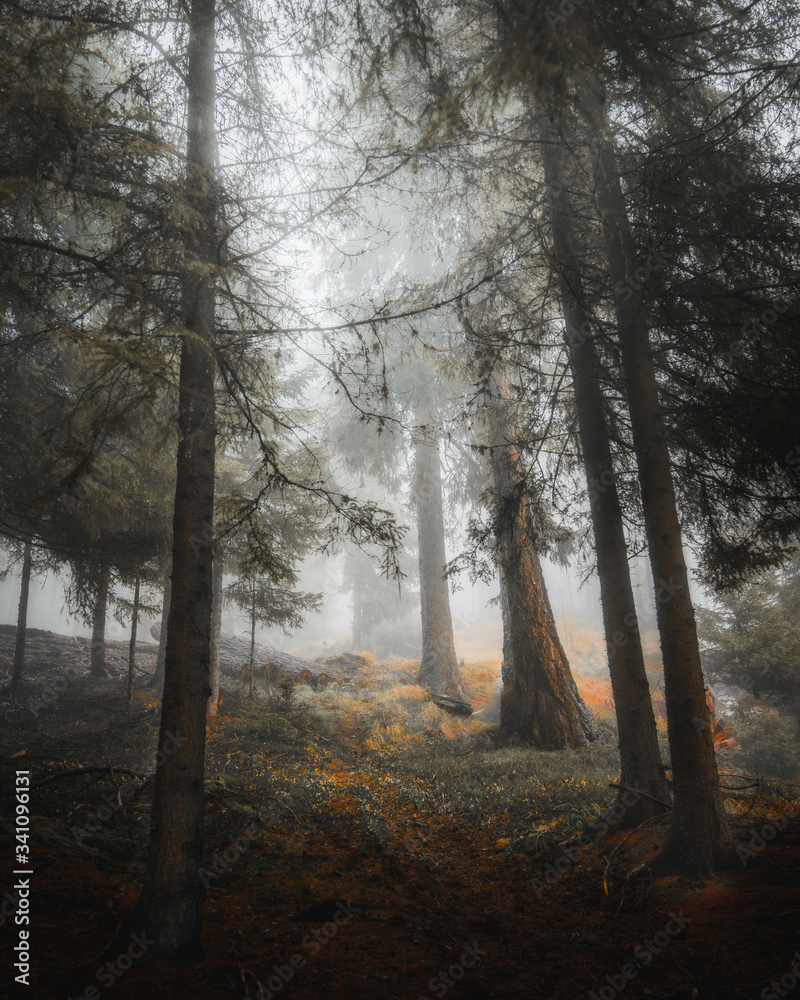 Foggy Dolomites mountain