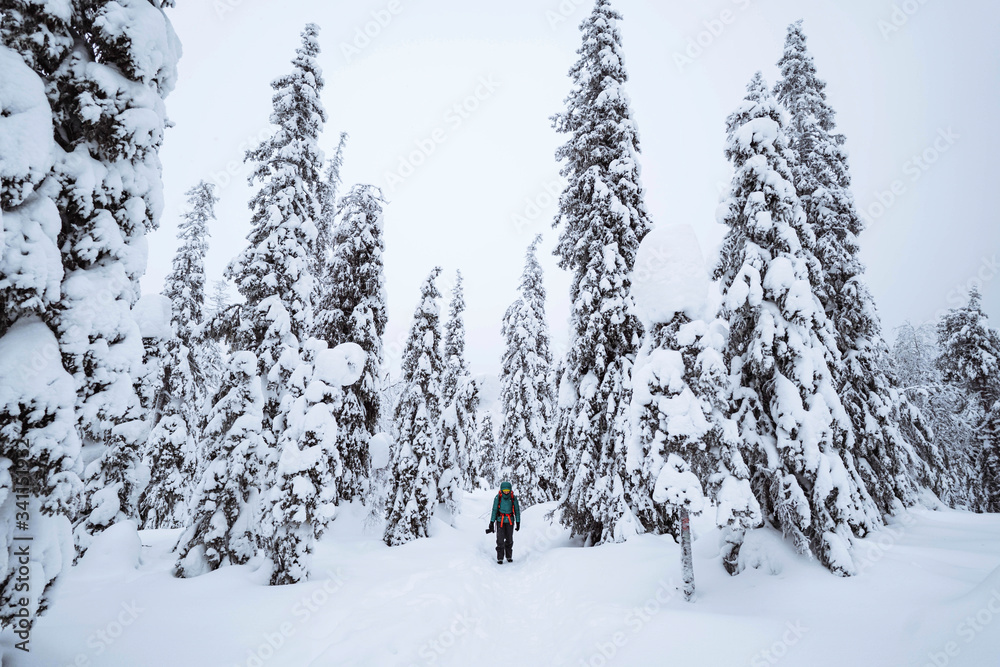 芬兰拉普兰，一名女子在雪地里跋涉