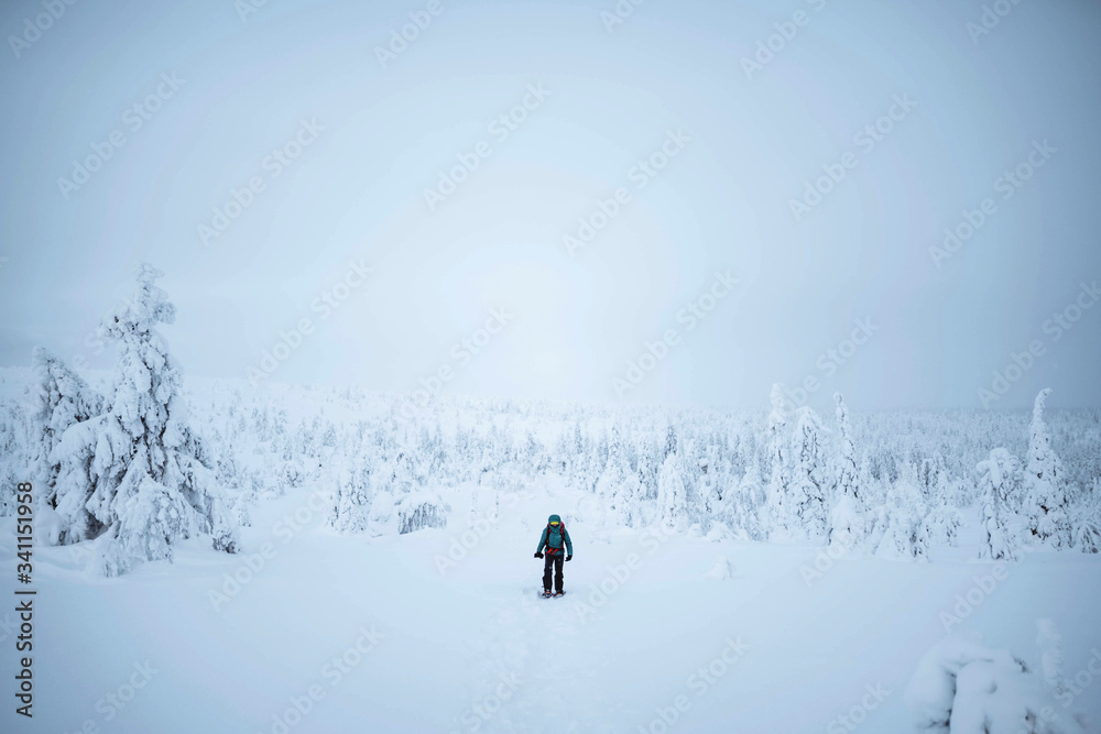 Woman trekking through the snow in Lapland, Finland