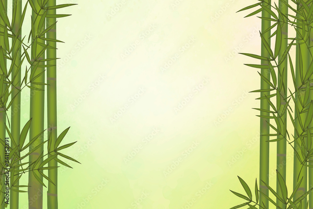 Bamboo tree background