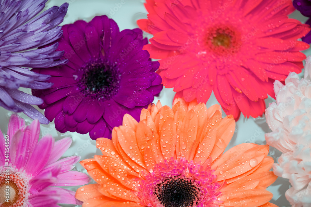 Colorful flowers floating on water