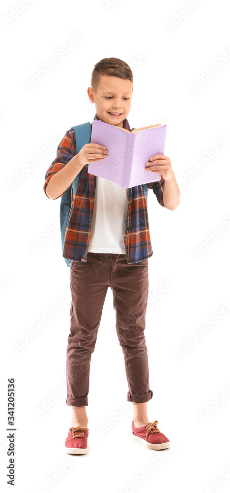 Cute little schoolboy with book on white background