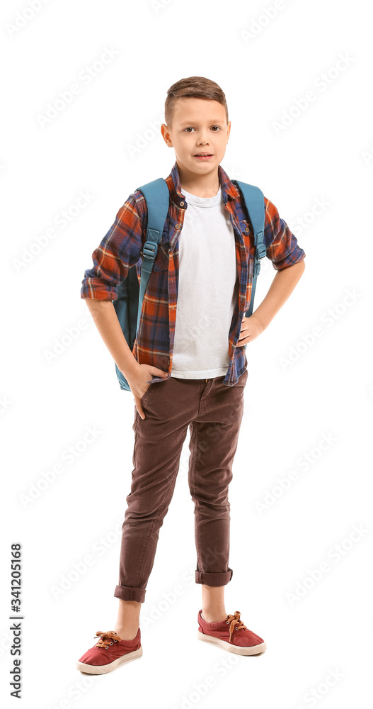 Cute little schoolboy on white background