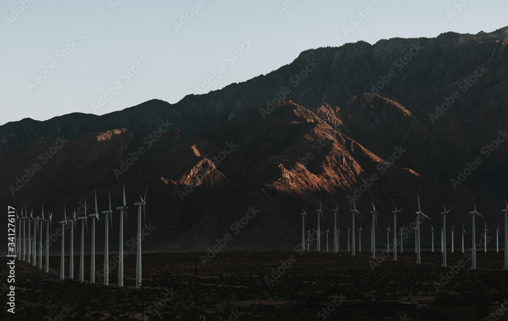 Wind turbines at Palm Springs