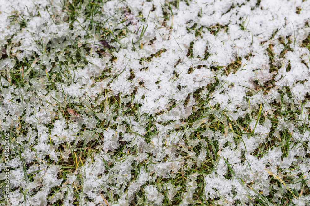 白雪覆盖的绿色草坪背景