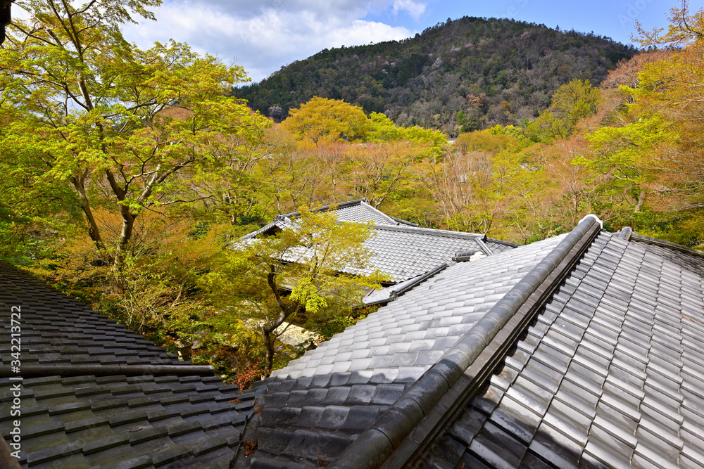 数寄屋造り