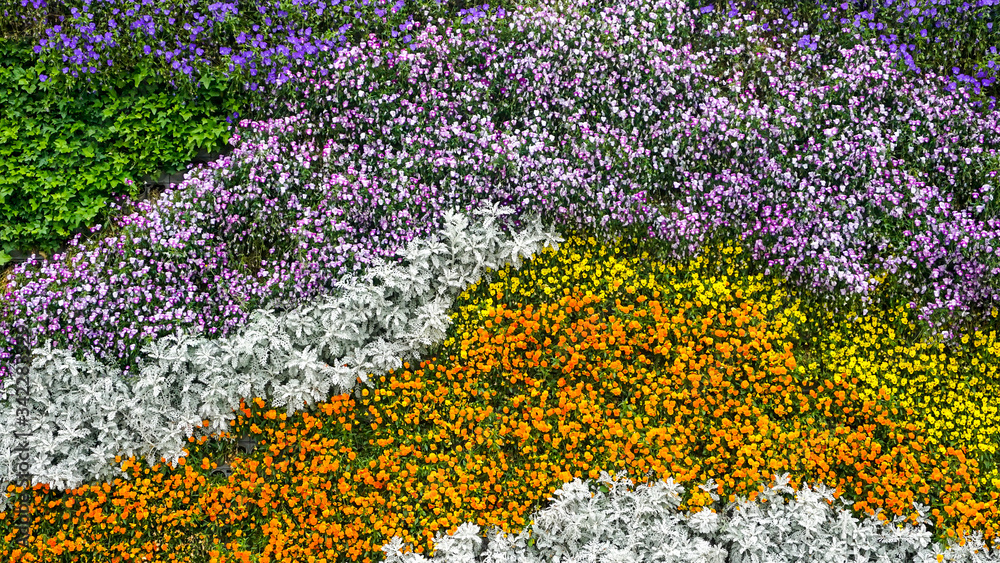 Green plant flower wall