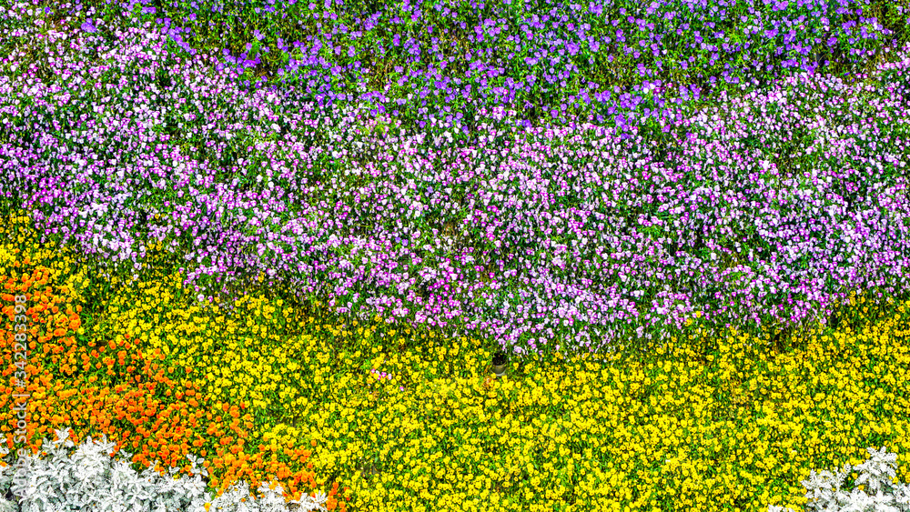 Green plant flower wall