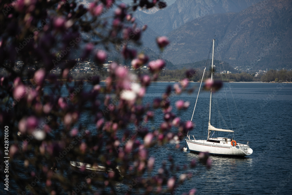 The yacht floats on a turquoise lake, in the foreground a flowering tree of pink flowers