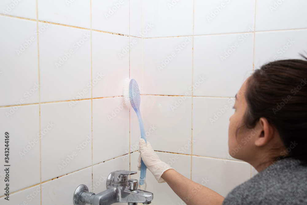 Mold or fungus of the wall in the Shower room causing black or brown mold in the bathroom or toilet 