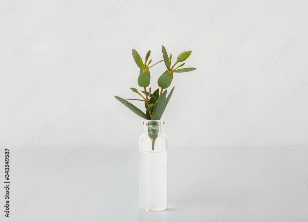 Bottle with eucalyptus essential oil on white background