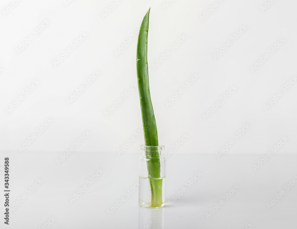 Bottle with aloe essential oil on white background