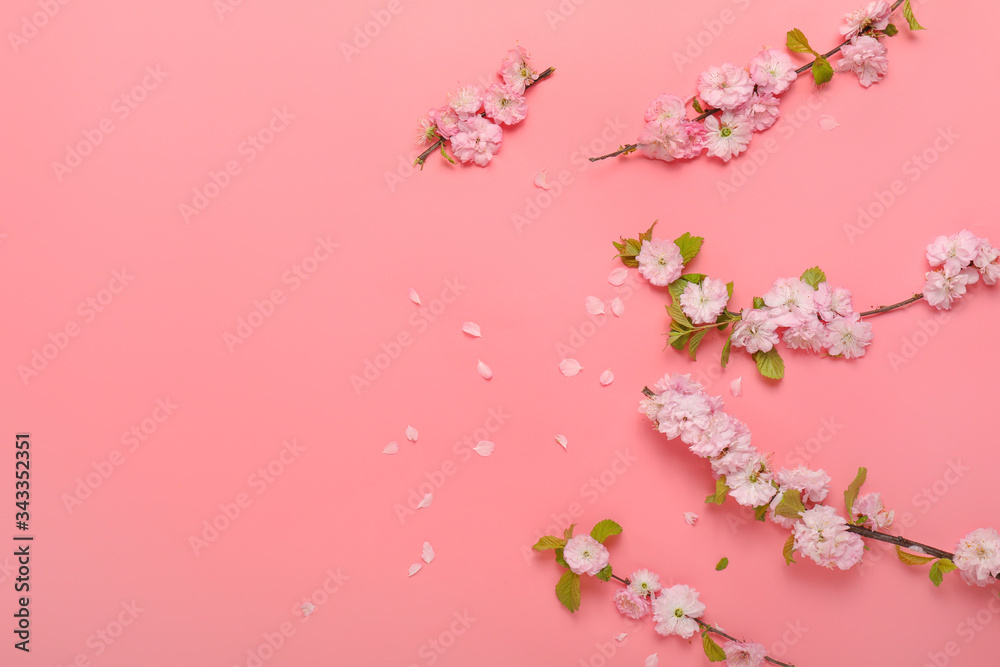 Beautiful blossoming branches on color background