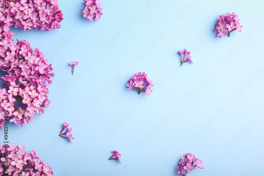 Beautiful lilac flowers on color background