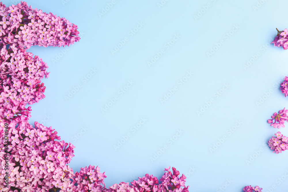 Beautiful lilac flowers on color background