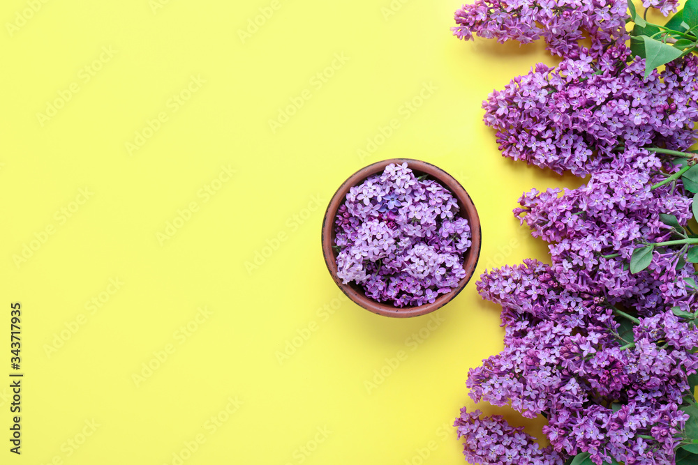 Beautiful lilac flowers on color background