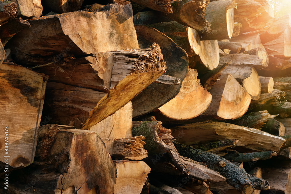 Outdoor shot of a stacked pile of firewood lit by beautiful warm rays of sunlight, with pleasant col