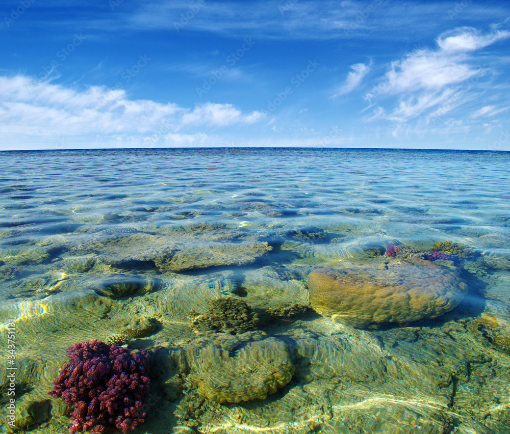 Red sea coral reef and sky.