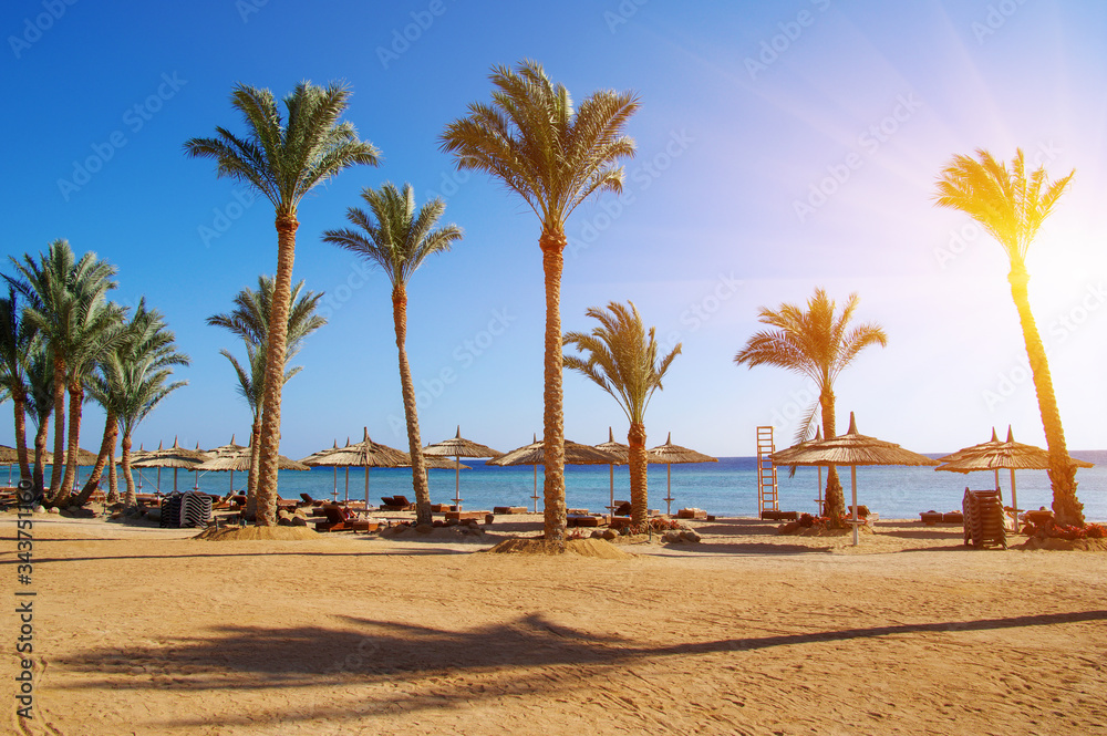 Tropical beach with deckchairs, umbrellas