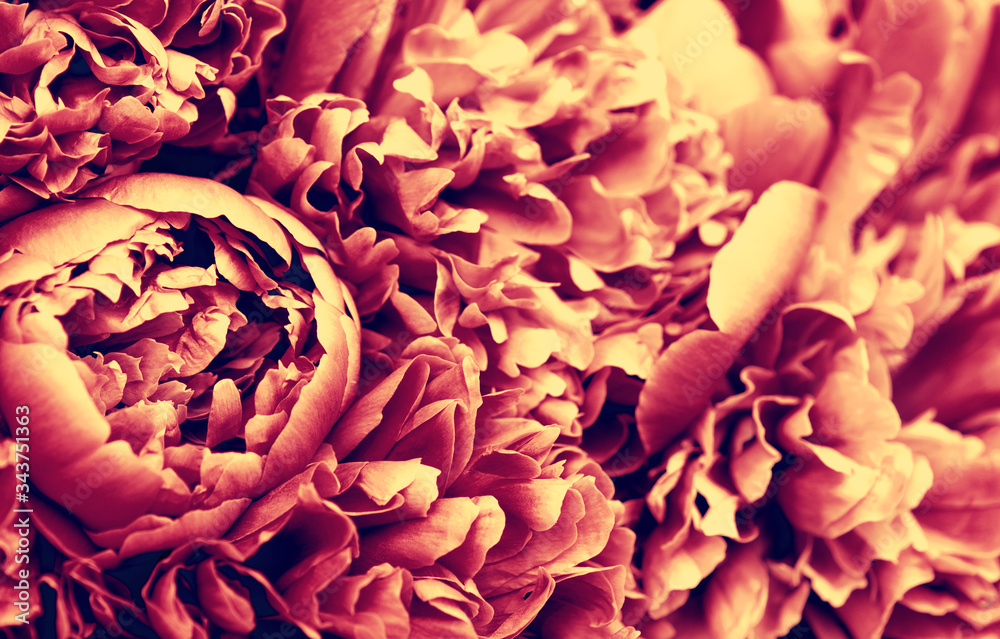  abstract flower background