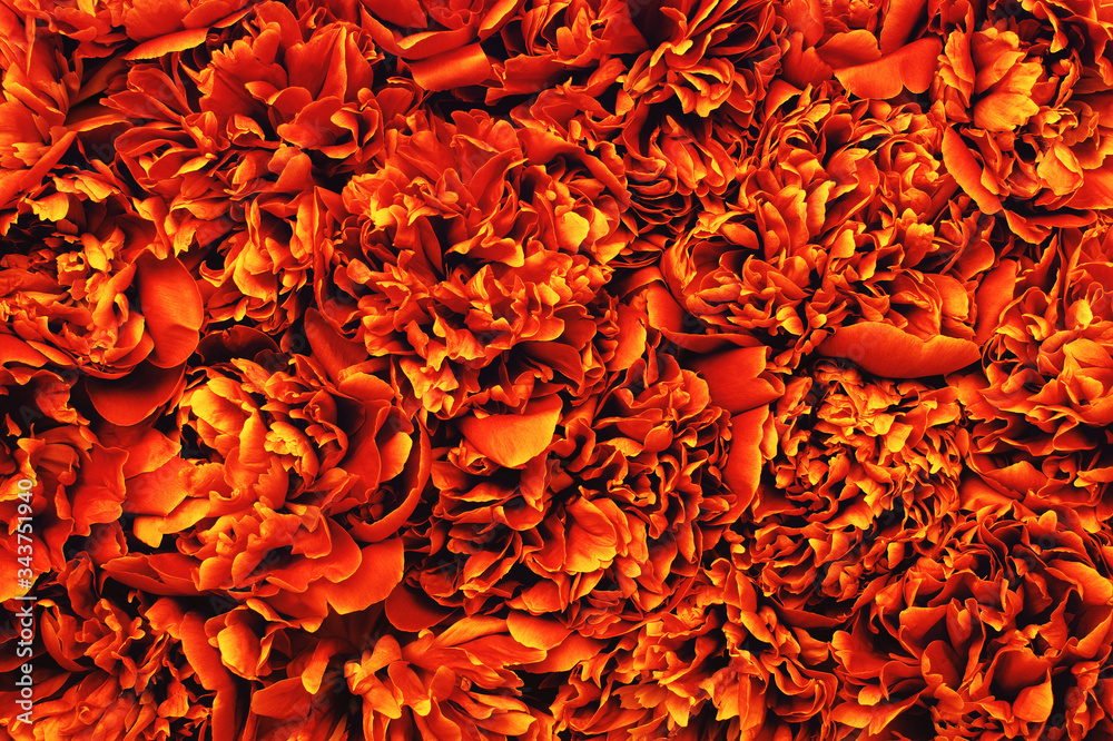  Abstract orange flower