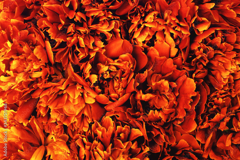  Abstract orange flower