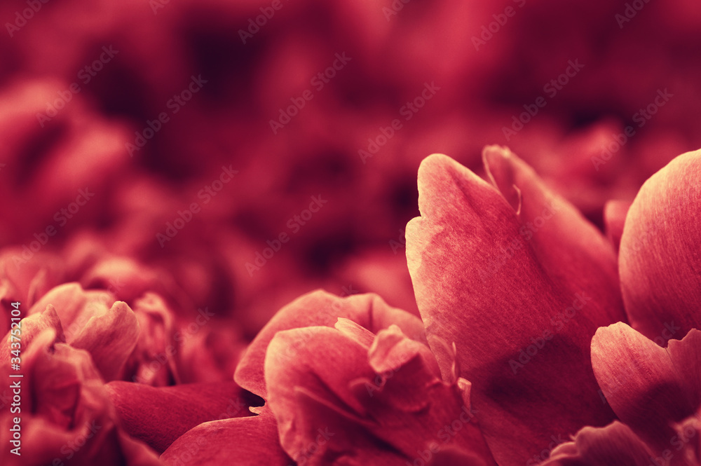  abstract flower background