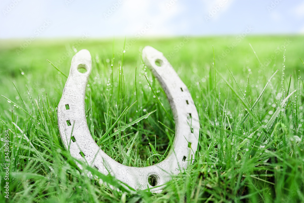 the silver horseshoe lies in the green grass